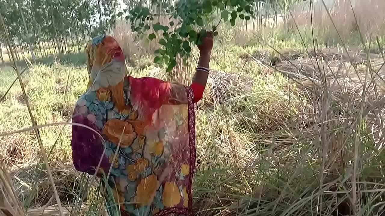 Hindibfsexy - hindi bf sexy video - Indianpornxtube